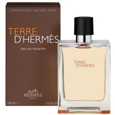 Hermes Terre D'Hermes Eau de Toilette 100ml