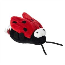 GiGwi Melody Chaser Ladybird Cat Toy